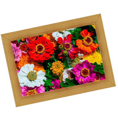 Servicios Funerarios